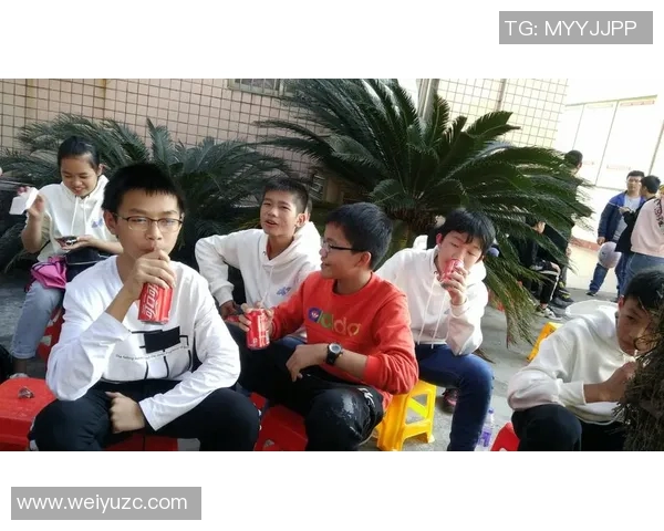 永定小学生足球比赛精彩直播全程回顾与精彩瞬间分享 永定小学生足球比赛精彩直播全程回顾与精彩瞬间分享